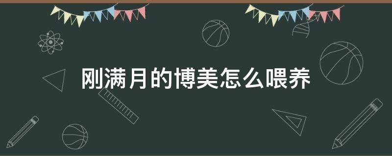 刚满月的博美怎么喂养 刚出满月的博美怎样喂食