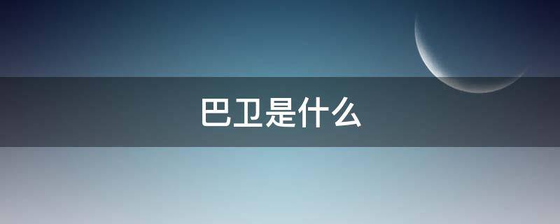 巴卫是什么 巴卫是什么剧