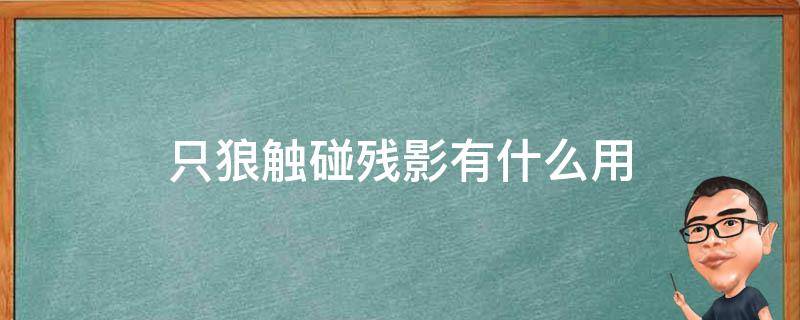 只狼触碰残影有什么用 只狼触碰残影是什么意思