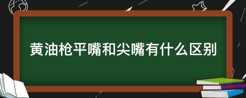 黄油枪平嘴和尖嘴有什么区别（黄油枪嘴尖头和平头区别）