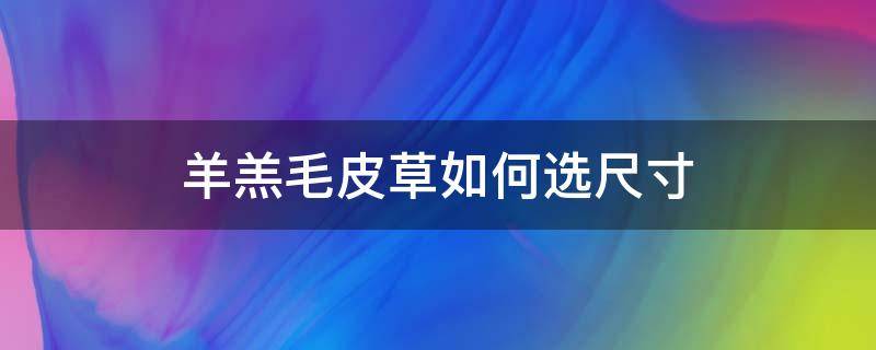 羊羔毛皮草如何选尺寸（什么羊羔毛的皮草最好）