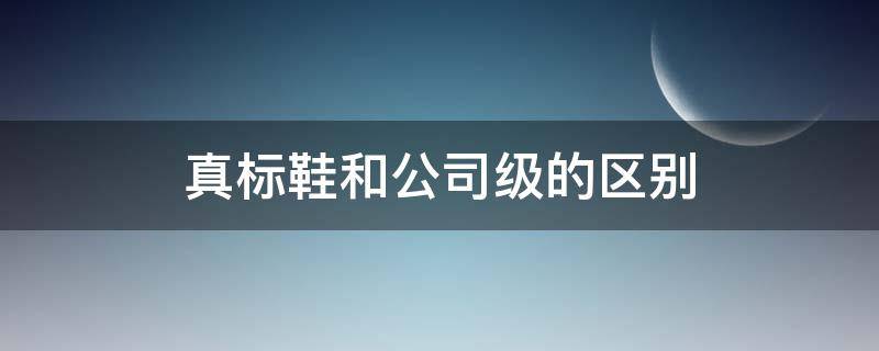 真标鞋和公司级的区别（真标鞋和公司级的区别建鞋真标跟公司级）