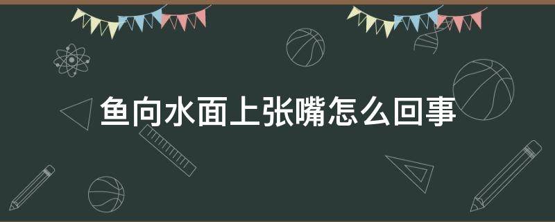 鱼向水面上张嘴怎么回事（鱼一直在水面上张嘴巴）