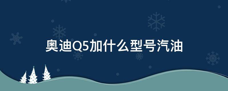 奥迪Q5加什么型号汽油（奥迪q5l加什么型号汽油）