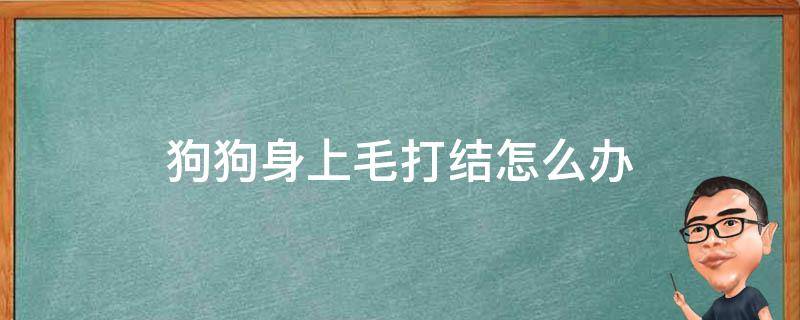 狗狗身上毛打结怎么办 狗身上毛打结结块特别厉害怎么办