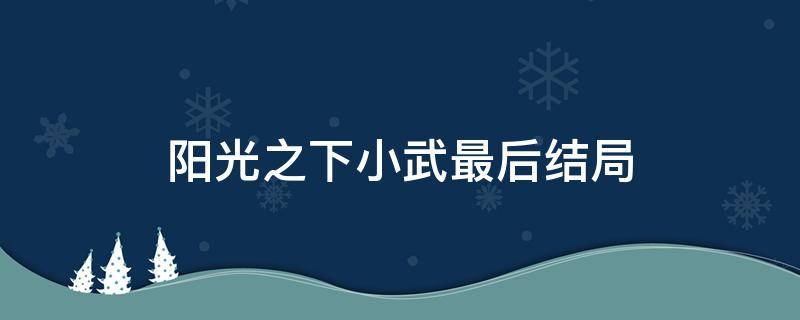 阳光之下小武最后结局 阳光之下为什么小武是男主