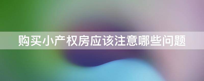 购买小产权房应该注意哪些问题 购买小产权房应该注意哪些问题呢