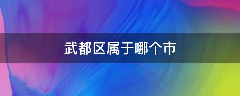 武都区属于哪个市（武都几个区）