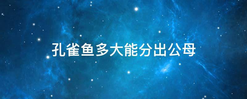 孔雀鱼多大能分出公母 孔雀鱼多大才能分出公母