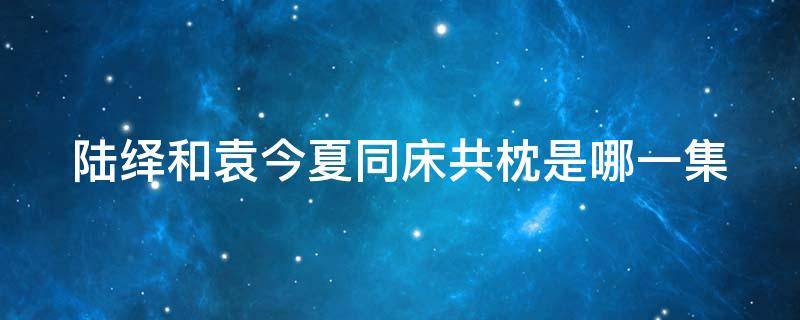 陆绎和袁今夏同床共枕是哪一集 陆绎和袁今夏是第几集在一起的