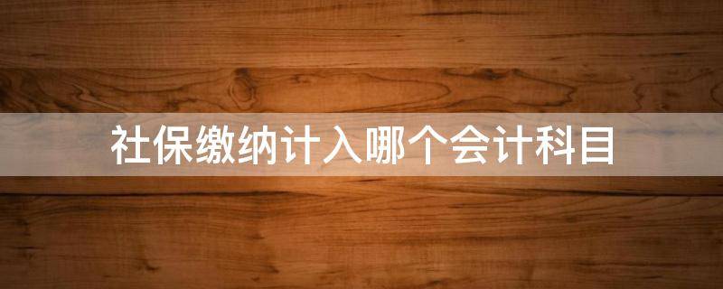 社保缴纳计入哪个会计科目（缴纳社保计入什么会计科目）