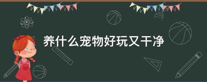 养什么宠物好玩又干净 养什么宠物好玩又干净又没异味