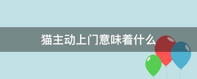 猫主动上门意味着什么（黑白猫主动上门意味着什么）