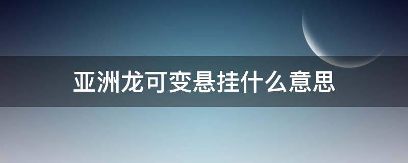 亚洲龙可变悬挂什么意思（亚洲龙可调节悬挂什么意思）