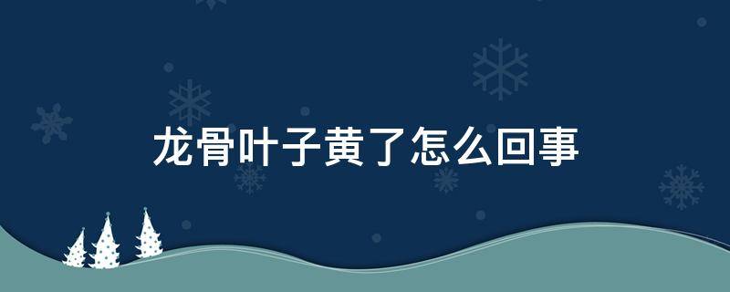 龙骨叶子黄了怎么回事 龙骨叶子黄了是怎么回事