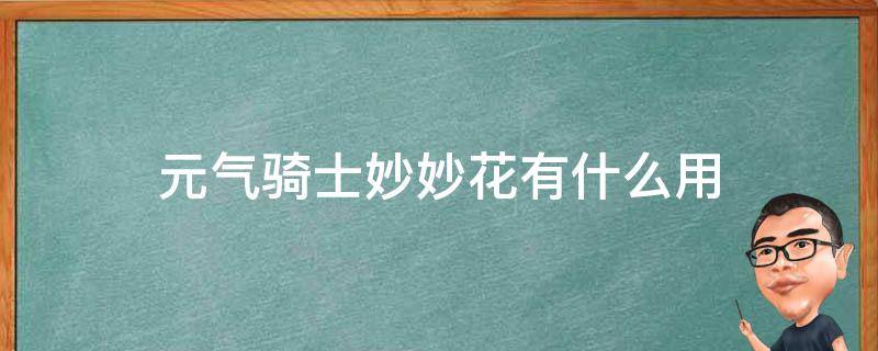 元气骑士妙妙花有什么用（元气骑士妙妙花有什么用妙妙花作用及获取方法分享）