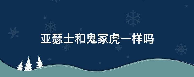 亚瑟士和鬼冢虎一样吗 亚瑟士和鬼冢虎一样吗?