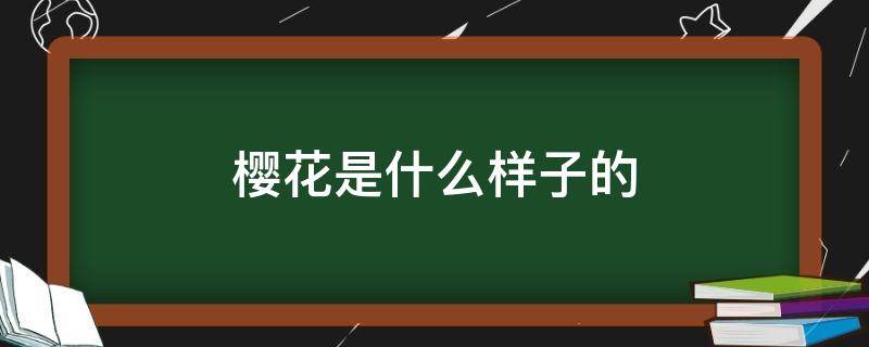 樱花是什么样子的（日本的樱花是什么样子的）