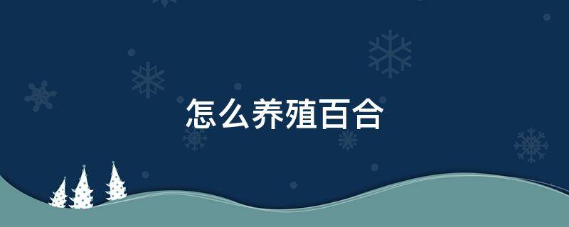 怎么养殖百合 百合的养殖技术