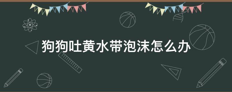 狗狗吐黄水带泡沫怎么办 狗狗吐黄水带泡沫怎么回事