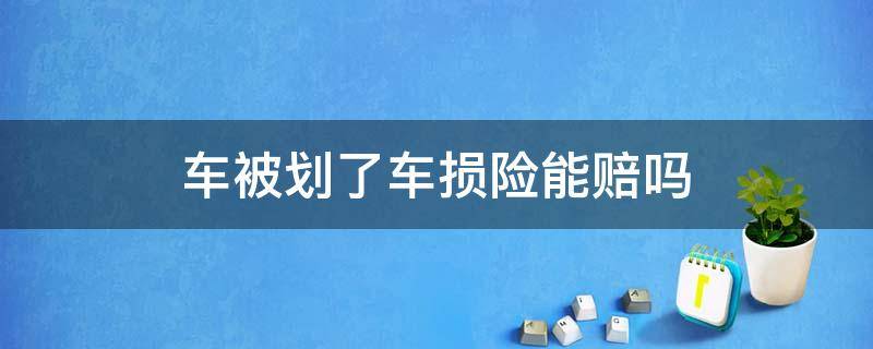 车被划了车损险能赔吗（车辆被划车损险给赔吗）