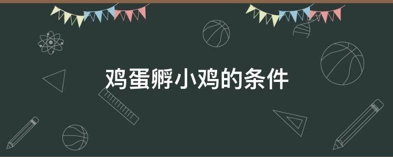 鸡蛋孵小鸡的条件（鸡蛋孵小鸡的条件和时间）