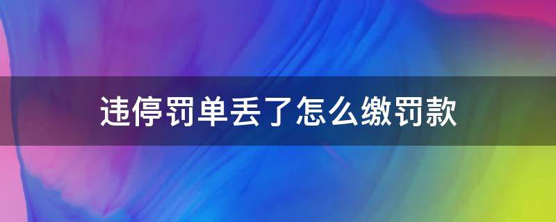 违停罚单丢了怎么缴罚款（违停处罚单丢了怎么交）