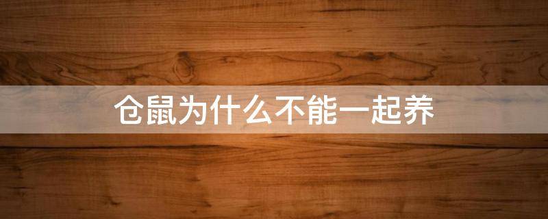 仓鼠为什么不能一起养 仓鼠不能一起养吗?