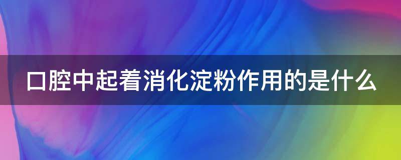 口腔中起着消化淀粉作用的是什么（口腔中起着消化淀粉作用的是什么?）