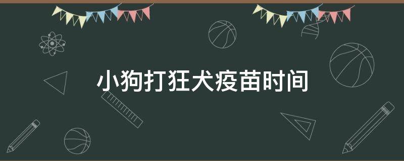 小狗打狂犬疫苗时间 狗狗打狂犬疫苗时间