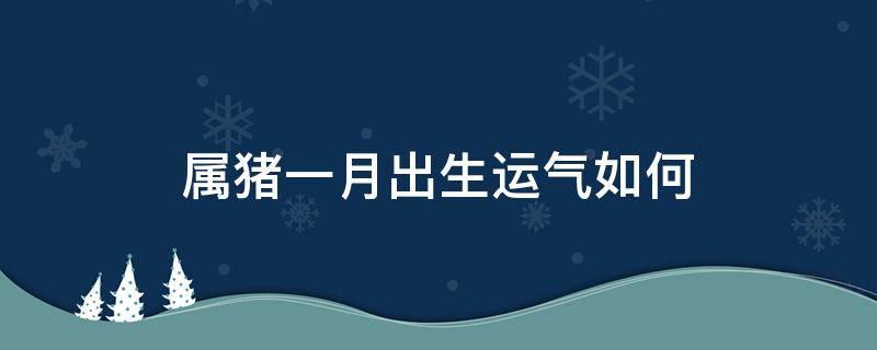 属猪一月出生运气如何（属猪农历1月出生的人命运）