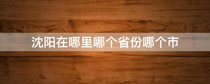 沈阳在哪里哪个省份哪个市 沈阳在哪个省份