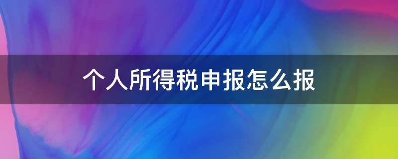 个人所得税申报怎么报 个人所得税申报个人所得如何申报