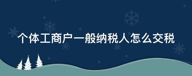 个体工商户一般纳税人怎么交税（个体工商户的一般纳税人）