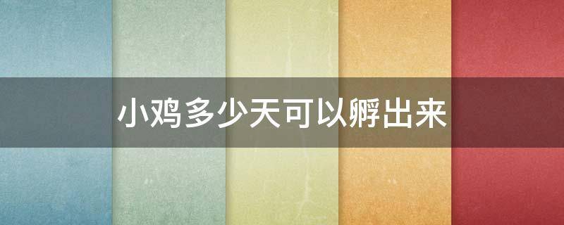 小鸡多少天可以孵出来 小鸡要多少天才可以孵出来