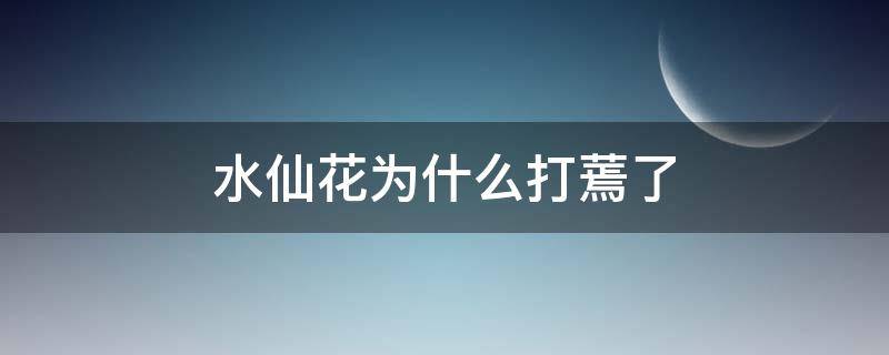 水仙花为什么打蔫了（水仙花叶子蔫了）