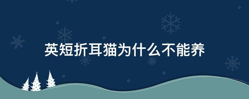 英短折耳猫为什么不能养 折耳猫为什么不建议养