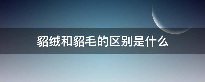 貂绒和貂毛的区别是什么 貂绒与貂毛的区别