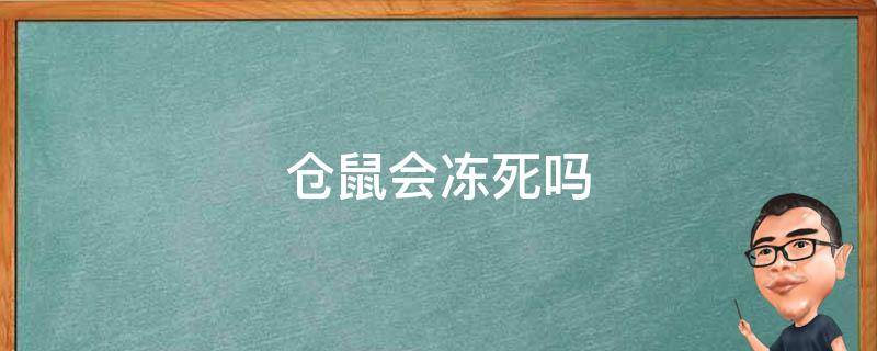 仓鼠会冻死吗 开空调仓鼠会冻死吗