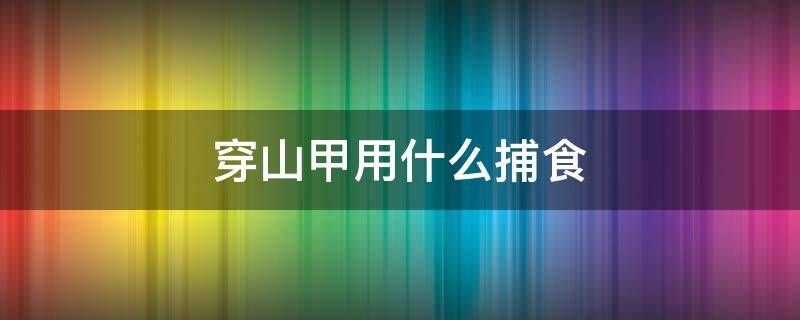 穿山甲用什么捕食 穿山甲用什么器官捕食物