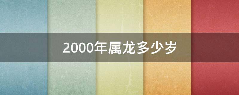 2000年属龙多少岁 2000年属龙的多大岁数