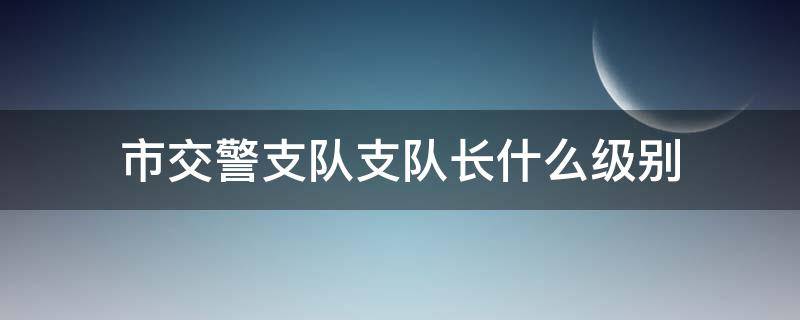 市交警支队支队长什么级别（莆田市交警支队支队长什么级别）