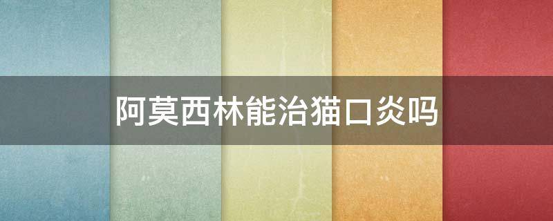 阿莫西林能治猫口炎吗 猫口炎可以吃小儿阿莫西林吗