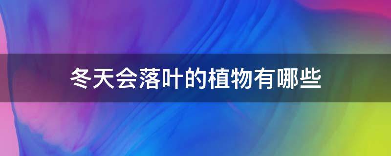 冬天会落叶的植物有哪些 冬天会落叶的植物有哪些图片