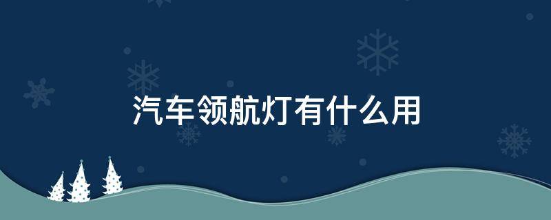 汽车领航灯有什么用 领航灯是什么样子?