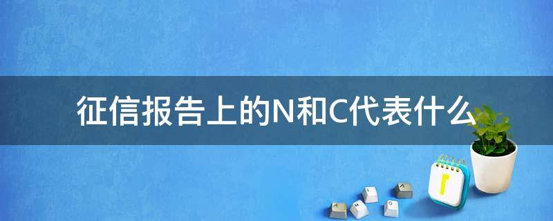 征信报告上的N和C代表什么（征信报告上的n和c是什么意思）