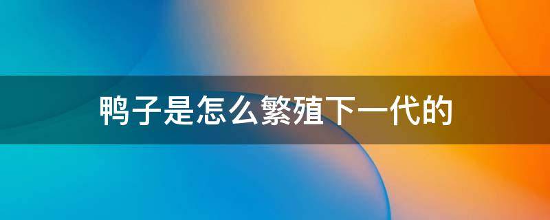 鸭子是怎么繁殖下一代的 鸭子是如何繁殖下一代的