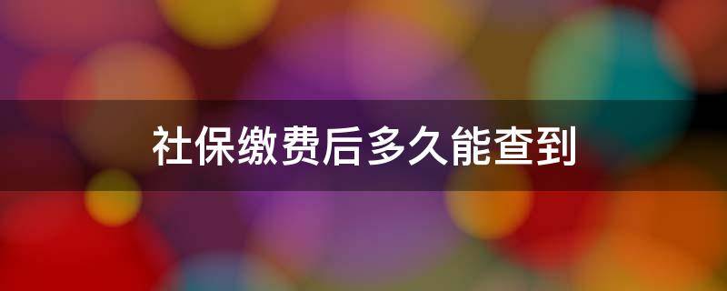 社保缴费后多久能查到 社保缴费后多久能查到余额