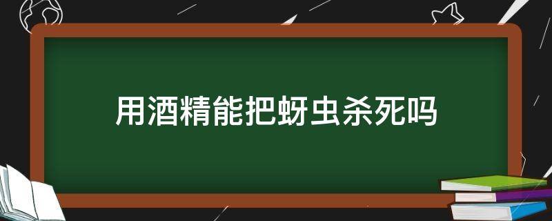 用酒精能把蚜虫杀死吗 酒精能灭蚜虫吗