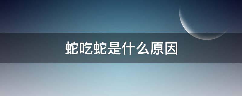 蛇吃蛇是什么原因 蛇吃蛇是什么原因引起的